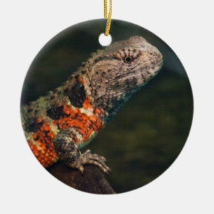 Ornement Rond En Céramique Shinisaurus crocodilurus