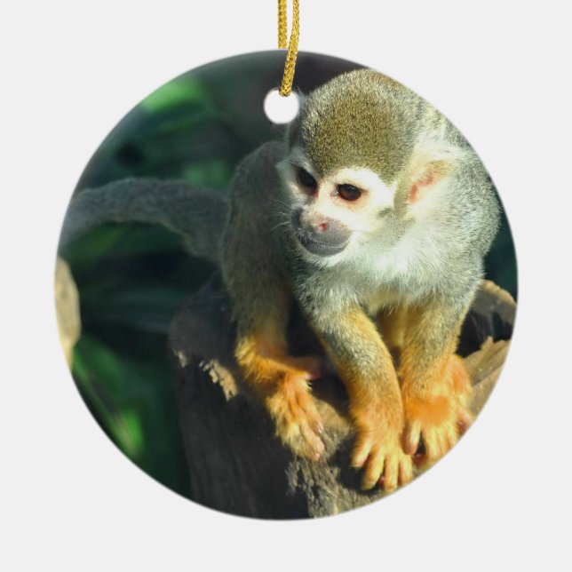 Ornement Rond En Céramique Singe araignée (Devant)