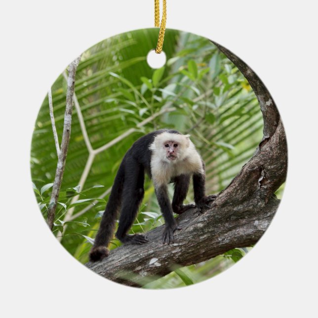 Ornement Rond En Céramique Singe dans la jungle (Devant)