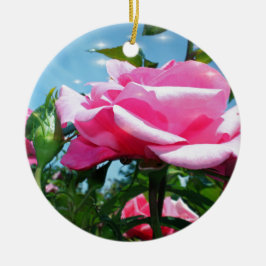 Ornement Rond En Céramique Superbe rose rose dans le ciel bleu. Photographie 