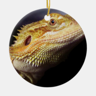 Ornement Rond En Céramique Tête barbue 2 de dragon