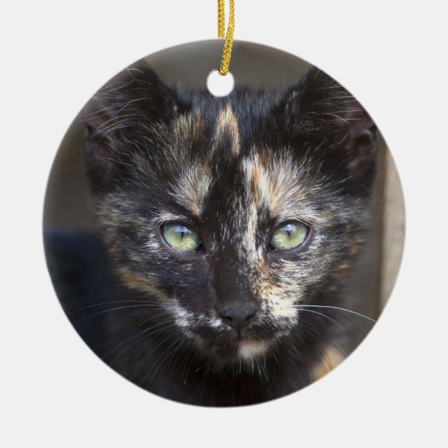 Ornement Rond En Céramique Tortoiseshell Kitten (Devant)