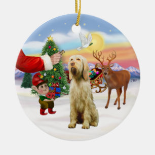 Ornement Rond En Céramique Traite de Spinone Italiano