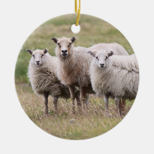 Ornement Rond En Céramique Trio des moutons en Islande