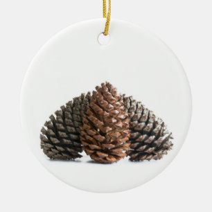Ornement Rond En Céramique Trois pinecones