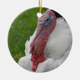 Ornement Rond En Céramique Turquie dominée