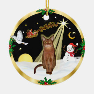 Ornement Rond En Céramique Vol de nuit - chat abyssin roux