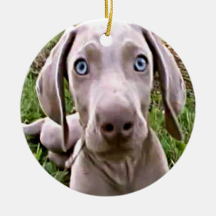 ORNEMENT ROND EN CÉRAMIQUE "WEIMARANER" CHRISTMAS ORNAMENT