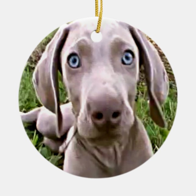 ORNEMENT ROND EN CÉRAMIQUE "WEIMARANER" ORNAMENT DE NOËL (Devant)