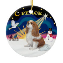Xmas Sunrise - Cavalier Blenheim