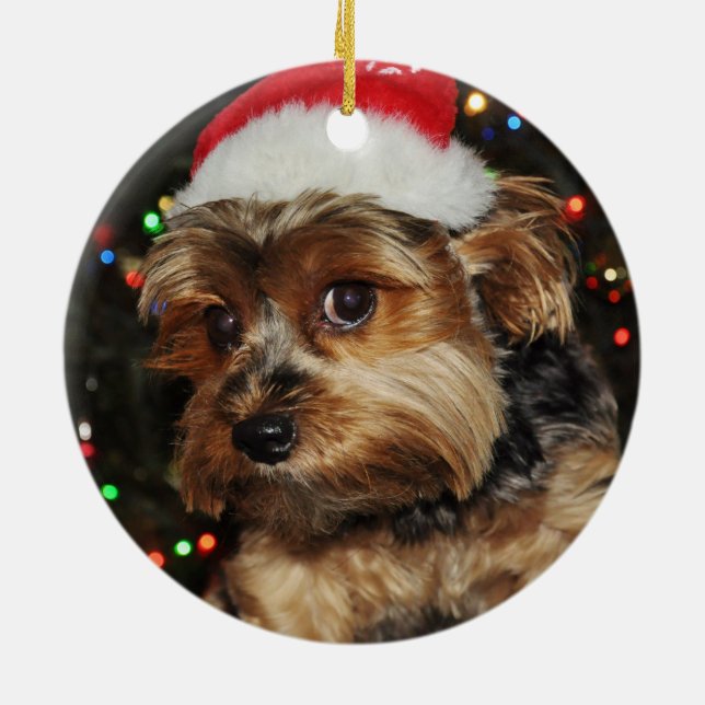 Ornement Rond En Céramique Yorkshire terrier (Dos)