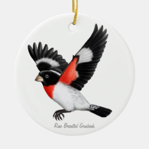 Ornement rose d'oiseau de gros-bec de Breasted