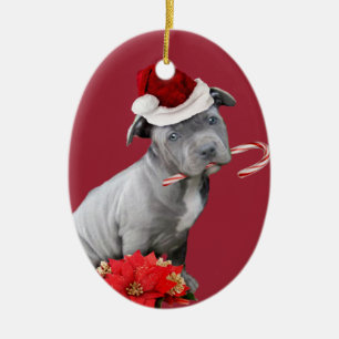 Ornement rouge de chiot de pitbull de Noël