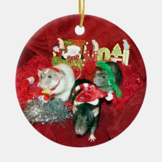 Ornement sage de Noël de rat d'animal familier de (Devant)