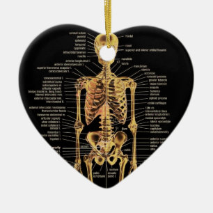 Ornement squelettique