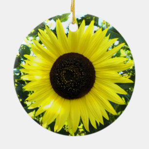 Ornement tournesol ensoleillé