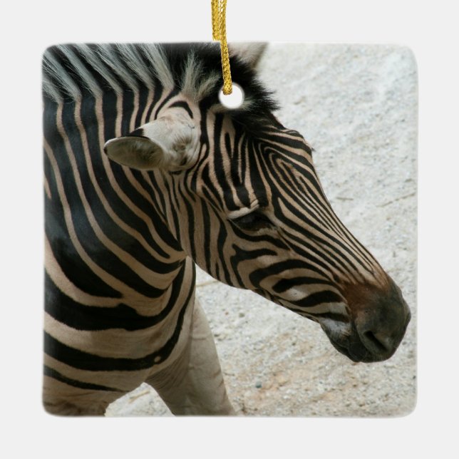 Ornement Zebra (Devant)