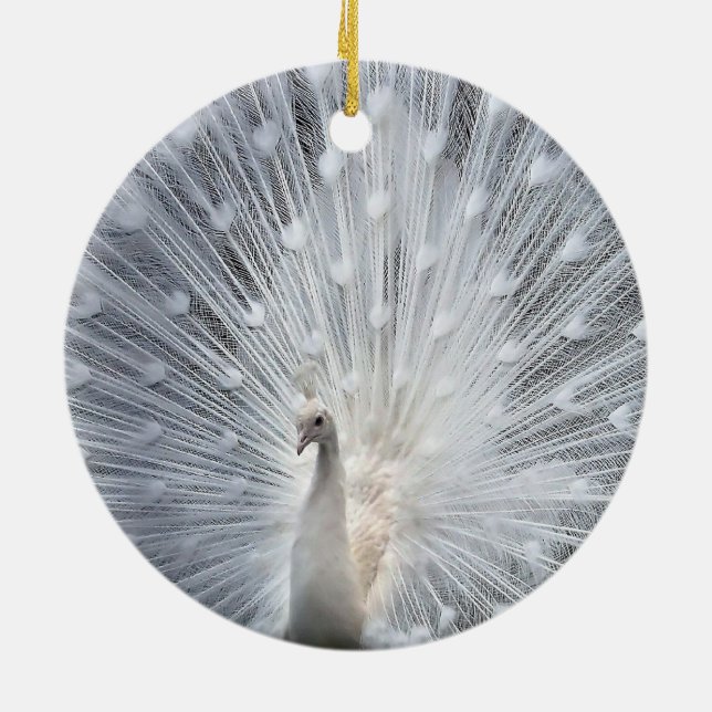 Ornements blancs de paon de Noël blanc (Dos)