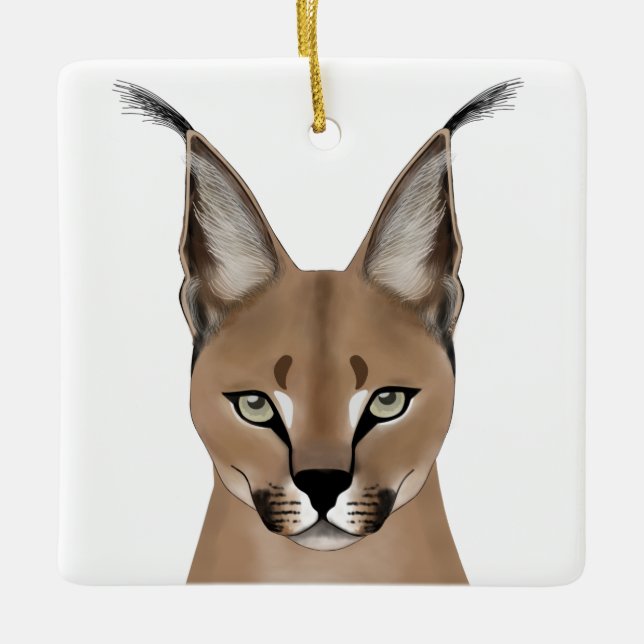 Ornements caracals (Devant)
