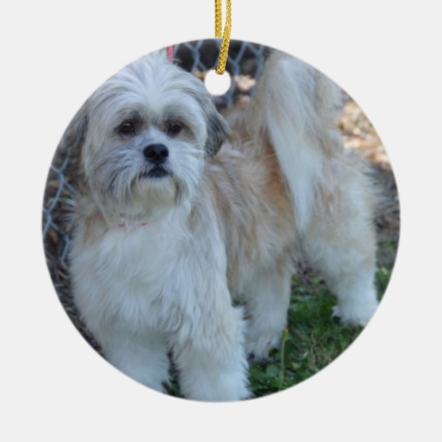 ornements d'arbre de Noël de photo de la (Devant)