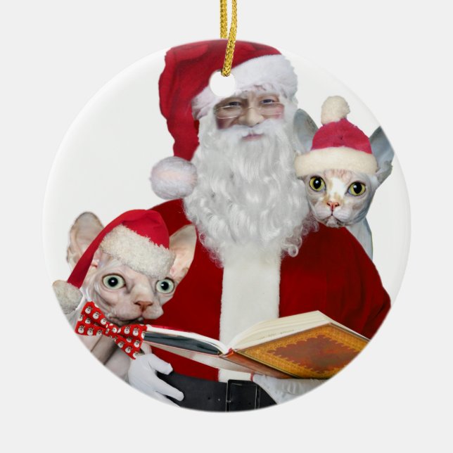 Ornements de chat de Sphynx (Devant)