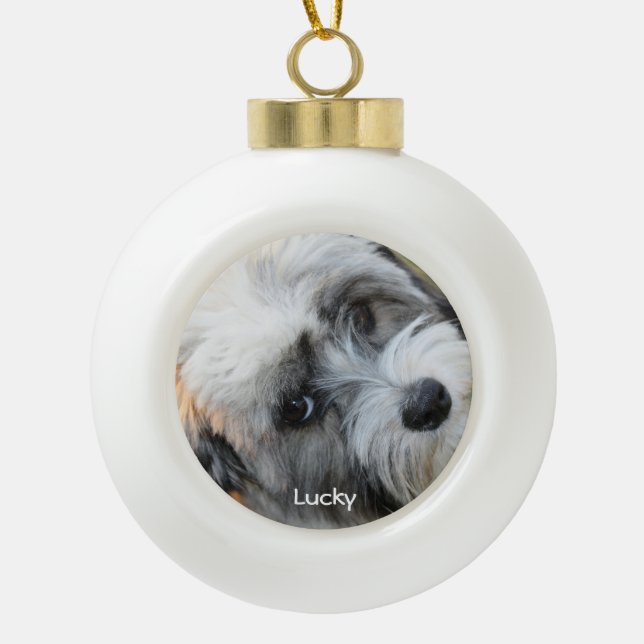 Ornements de Noël de chien Bal en céramique Photo  (Devant)