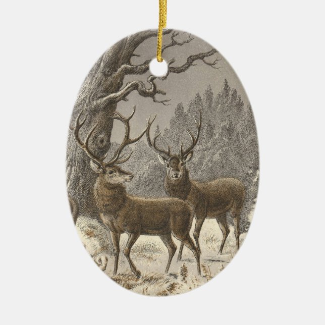 Ornements de Noël de trépointe de der de Buch (Devant)