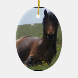 Ornements de repos de poney