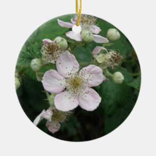 Ornements Fleurs de Blackberry