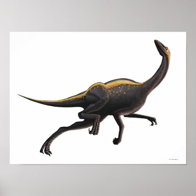 Ornithomimus Poster (Vorne)