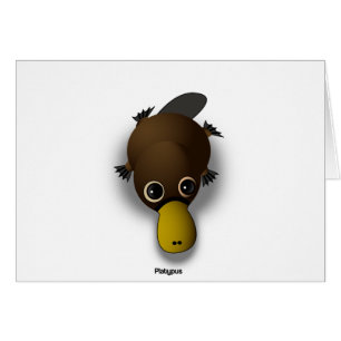 ornithorynque