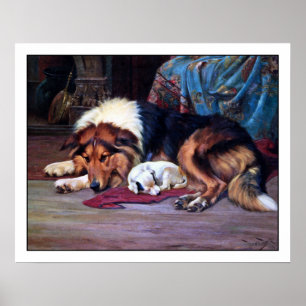 Orphan Puppy und Collie - von Wright Barker Poster
