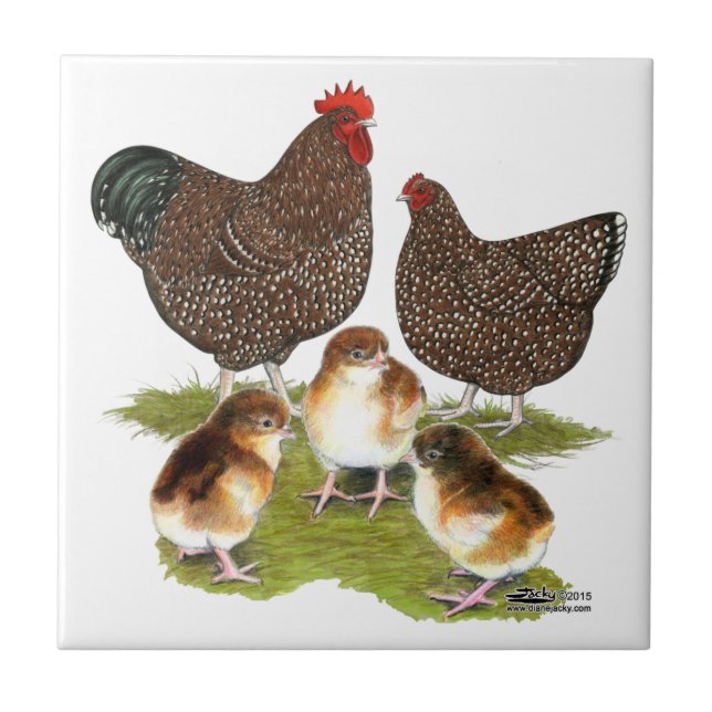 Orpington Jubilee Chicken Family Fliese (Vorderseite)