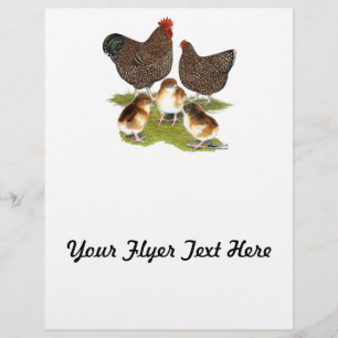 Orpington Jubilee Chicken Family Flyer