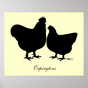 Orpington-Silhouette Poster
