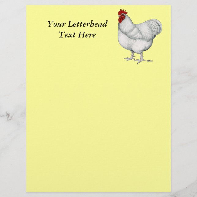 Orpington White Rooster (Vorderseite)