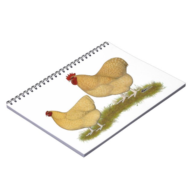 Orpingtons Lemon Cuckoo Notizblock (Linke Seite)