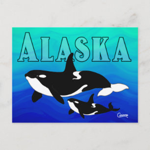Orques, Alaska - Carte postale