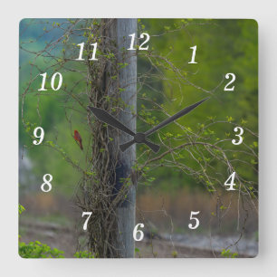 Ort der roten Wall-Uhr Quadratische Wanduhr
