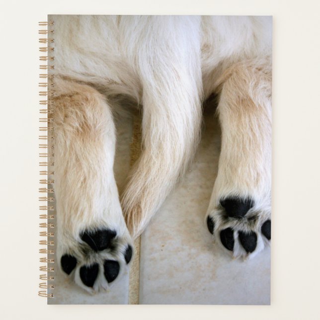 Orteils de marionnettes Golden Retriever (Devant)