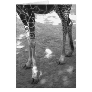 orteils de scintillement