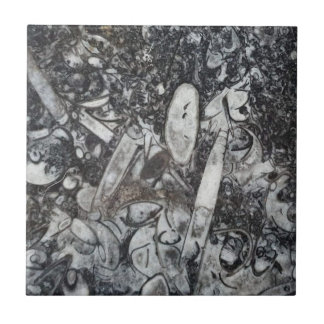 Orthoseras und Goniatite Fossilien Fliese