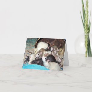 Orvietta and Kids Note Card Karte