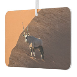 Oryx am Rand, Namibia Autolufterfrischer