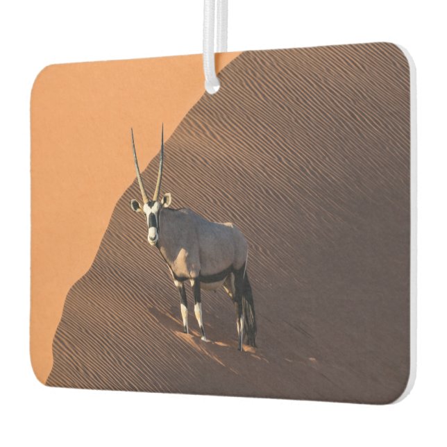 Oryx am Rand, Namibia Autolufterfrischer (Links)