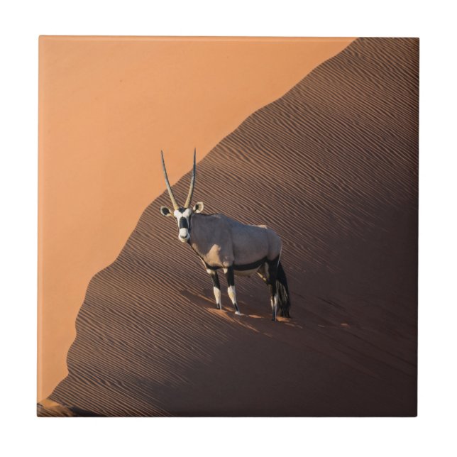 Oryx am Rand, Namibia Fliese (Vorderseite)