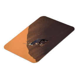 Oryx am Rand, Namibia Magnet