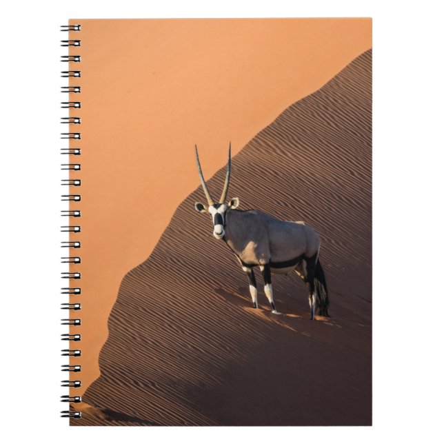 Oryx am Rand, Namibia Notizblock (Vorderseite)