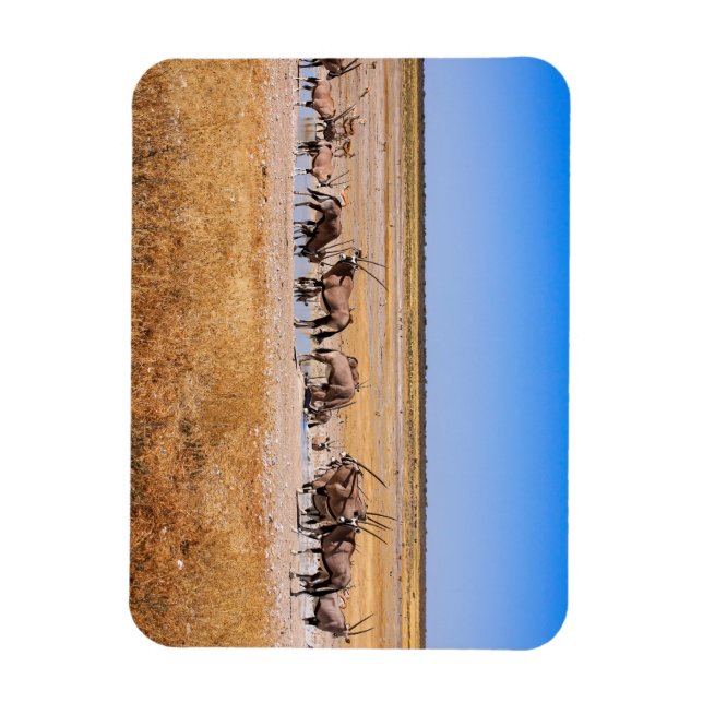 Oryx Antilopen in Namibia Magnet (Vertikal)