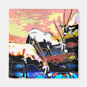 Oryx drei magnet
